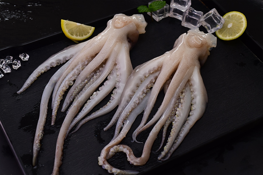 鱿鱼头